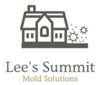 Mold Removal Lees Summit Solutions