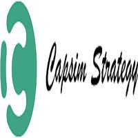 Capsim Strategy Help