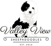 ValleyView Sheepadoodles