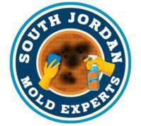 Mold Remediation South Jordan Experts