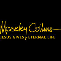 Moseley Collins Law