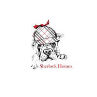 Sherlock Homes | Real Estate Agent in Castle Rock CO