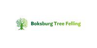 Boksburg Tree Felling