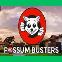 Possum Busters - Possum Removal - Corrimal