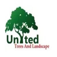 United Trees and Landscape