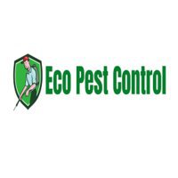 Eco Pest Control Subang Jaya Branch