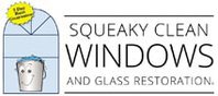 Squeaky Clean Windows Dallas