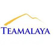 Teamalaya Recruitment Services | Teamalaya Dubai