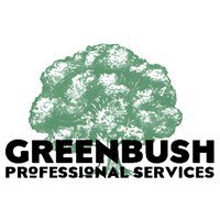 Greenbush Professional Services, LLC