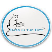 Cats in the City