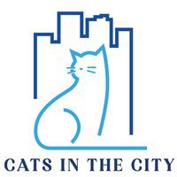 Cats In The City