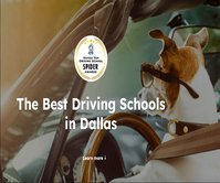 DriverZ SPIDER Driving Schools – Dallas