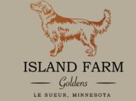 Island Farm Goldens