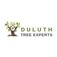 Duluth Tree Experts
