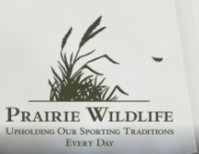 Prairie Wildlife