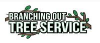 Tree Service & Removal Suffolk County