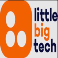 Little Big Tech
