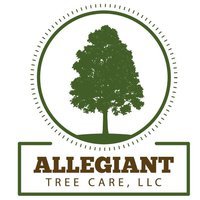 Allegiant tree care