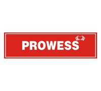 PROWESS - Best IELTS Institute in Ambala