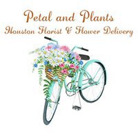 Petal And Plants - Houston Florist & Flower Delivery