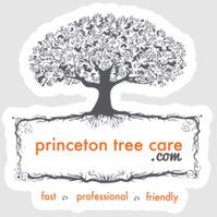 Princeton Tree Care