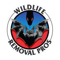 Wildlife Removal Pros