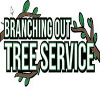Tree Service & Removal Long Beach 