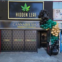 Hidden Leaf Cannabis