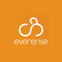 Everense Agency