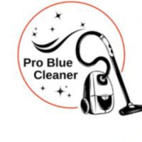 Pro Blue Cleaner