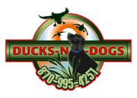 Ducks-n-Dogs