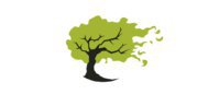 Poplar Tree Solutions Ltd